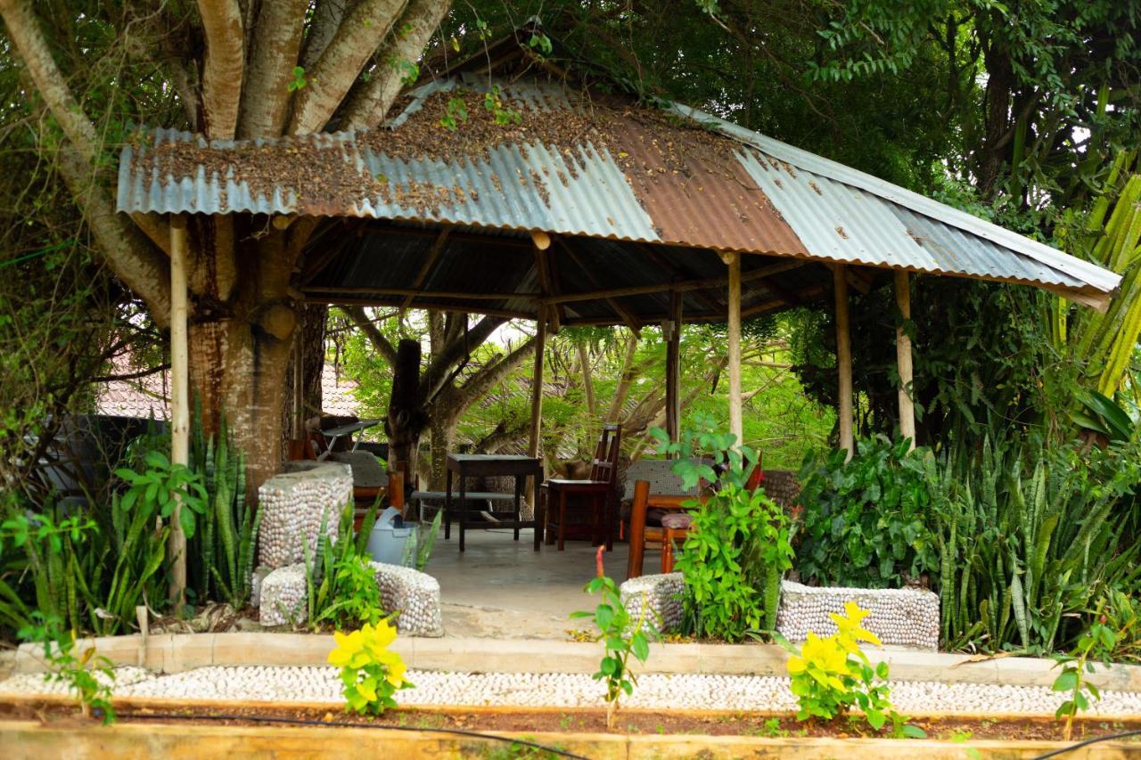 Mikoko Beach & Cottages Bagamoyo Ngoại thất bức ảnh