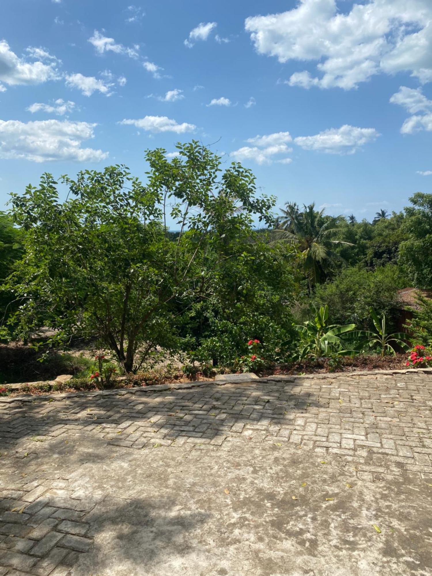 Mikoko Beach & Cottages Bagamoyo Ngoại thất bức ảnh